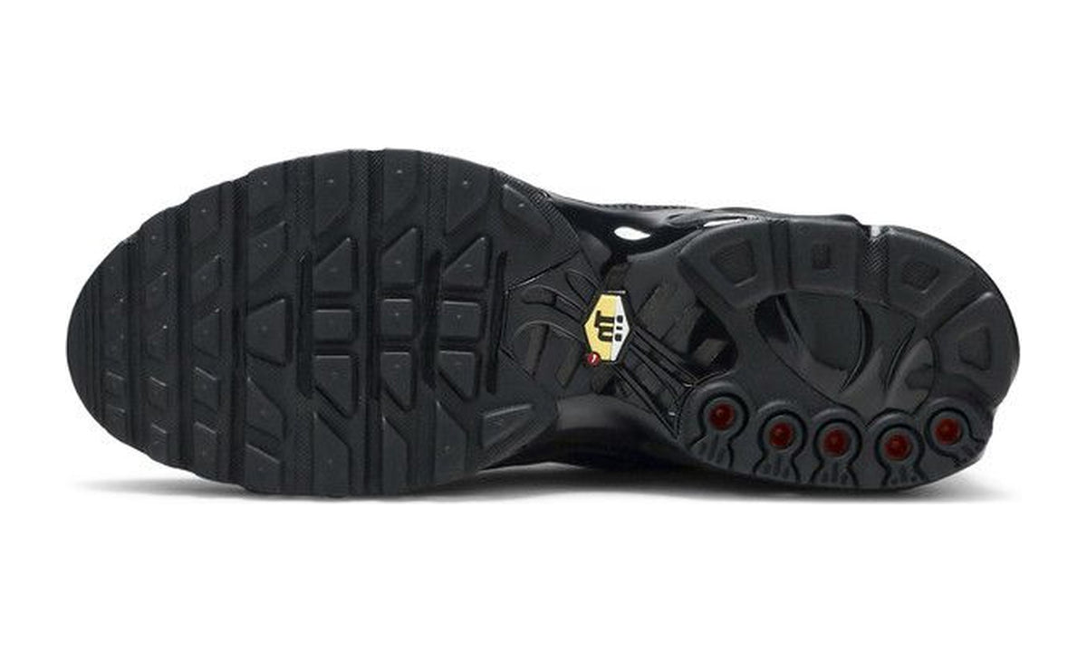 Nike Air Max Plus TN Triple Black