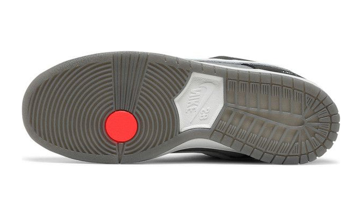 Nike Dunk Low SB Camcorder
