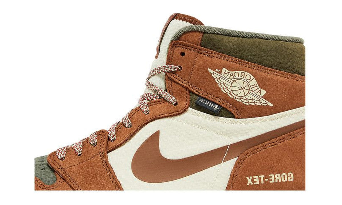 Air Jordan 1 High Element GORE-TEX Legend Coffee