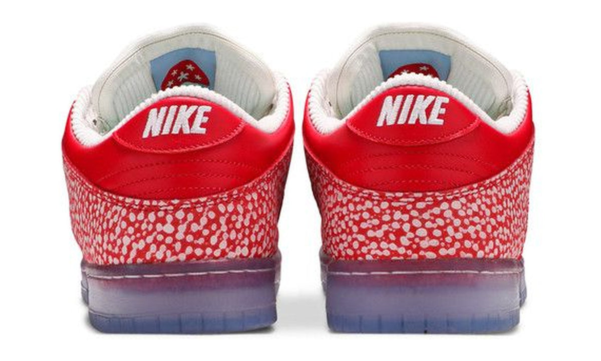 Stingwater x Nike Dunk Low SB Magic Mushroom