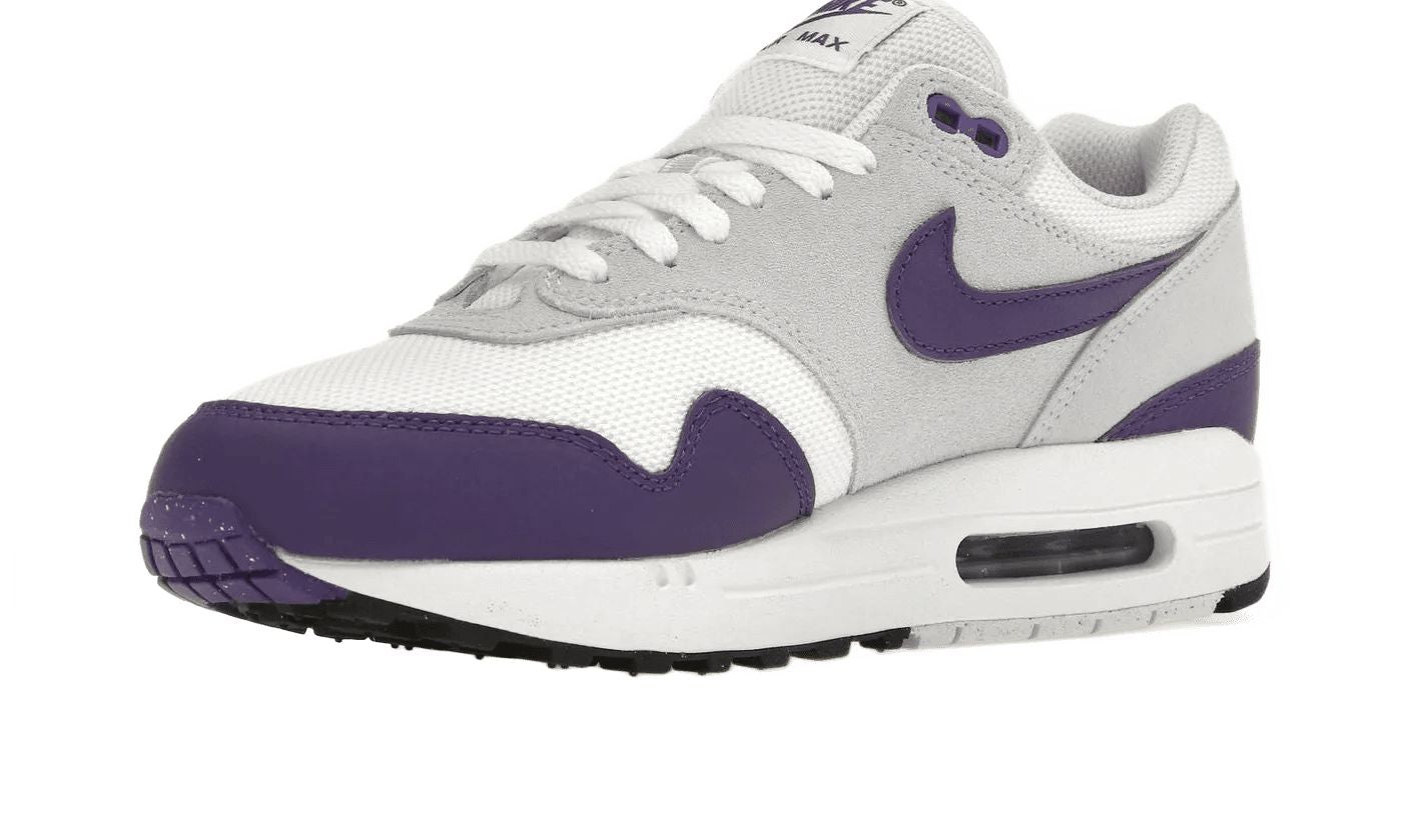 Nike Air Max 1 SC Field Purple