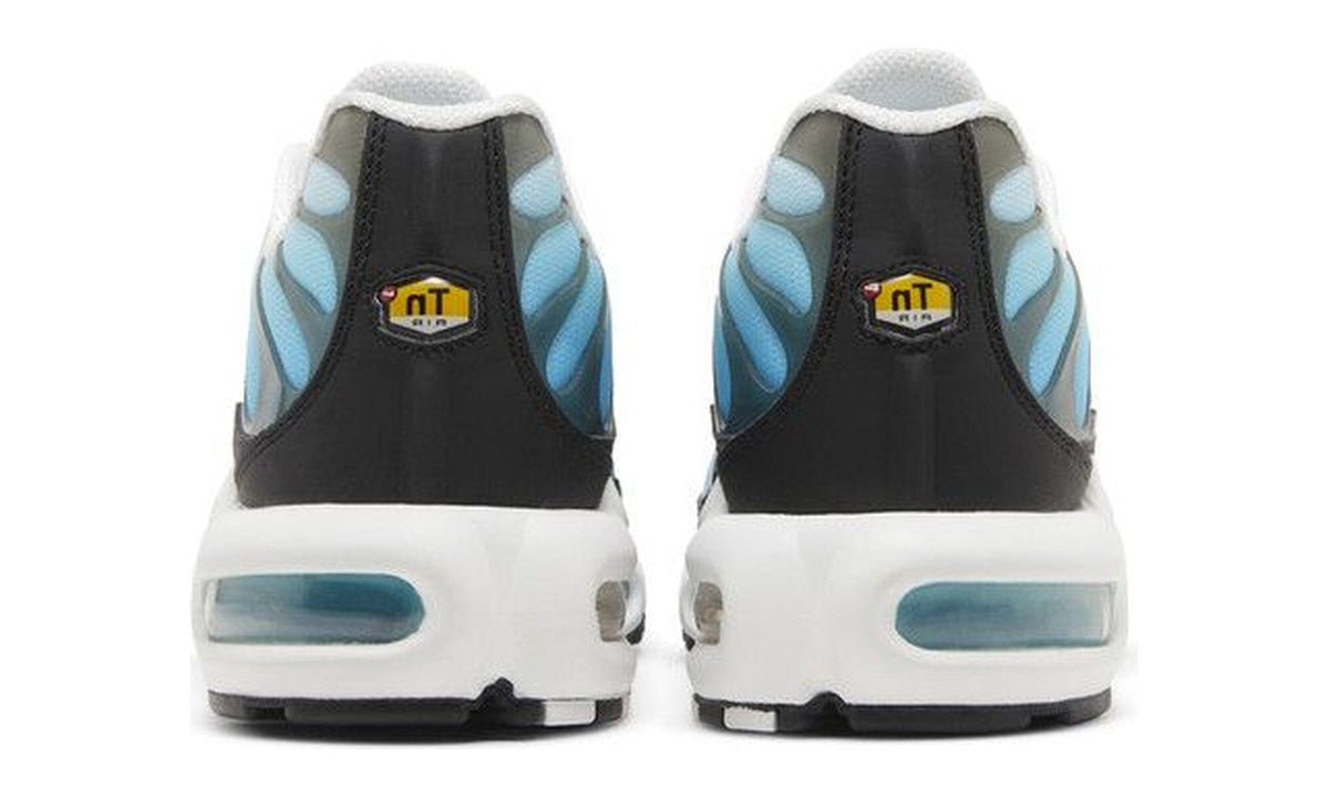 Nike Air Max Plus Baltic Blue