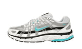 P-6000 Dusty Cactus