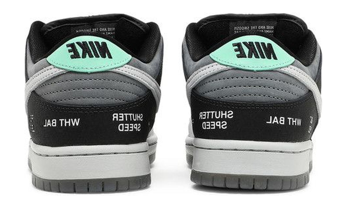 Nike Dunk Low SB Camcorder