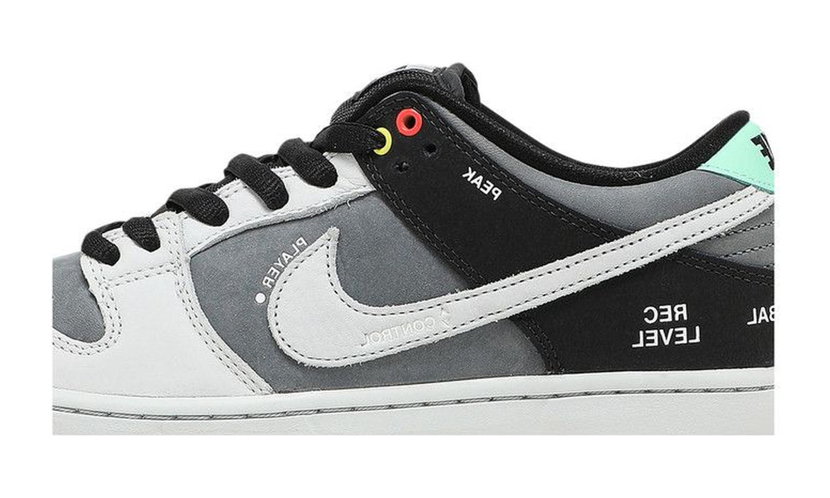 Nike Dunk Low SB Camcorder