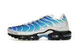 Nike Air Max Plus One Block Down Light Photo Blue