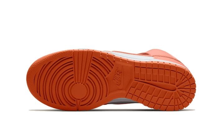 Nike Dunk High Salmon Grey - DD1869-600