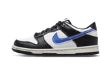 Nike Dunk Low Next Nature TPU Swoosh