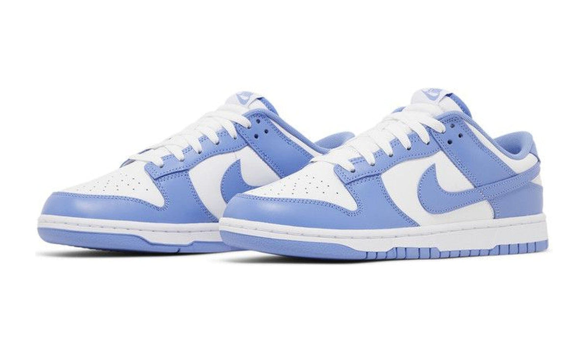 Nike Dunk Low Polar Blue