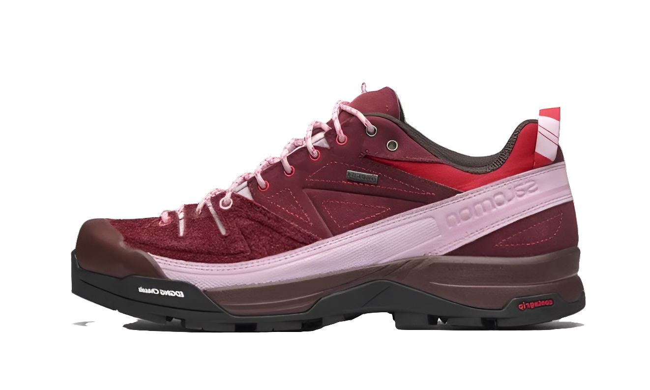 Salomon X-Alpages GTX The Broken Arm Pink Brown sneakers Salomon